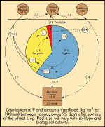 2_1d_fig1.gif (21619 bytes)